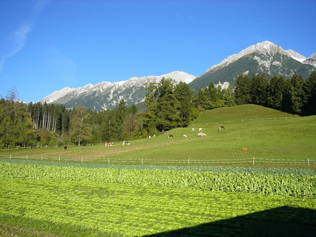 Apartments Karlhof İnnsbruck Dış mekan fotoğraf
